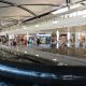 Detroit Metropolitan Airport (DTW)